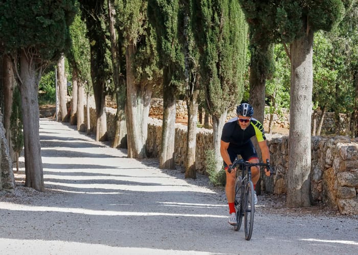 Immagine - a0467d82-cc45-486e-8c30-f56816b555e3